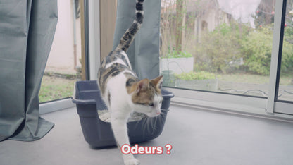 Litière autonettoyante intelligente